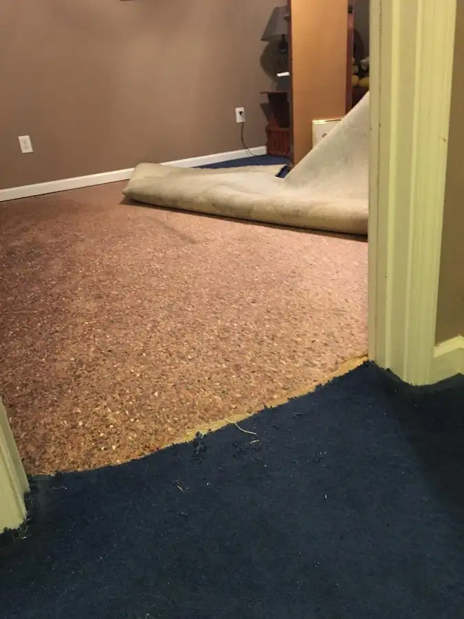 Carpet pad removal revealing water damage during Water Mitigation Services in Justice