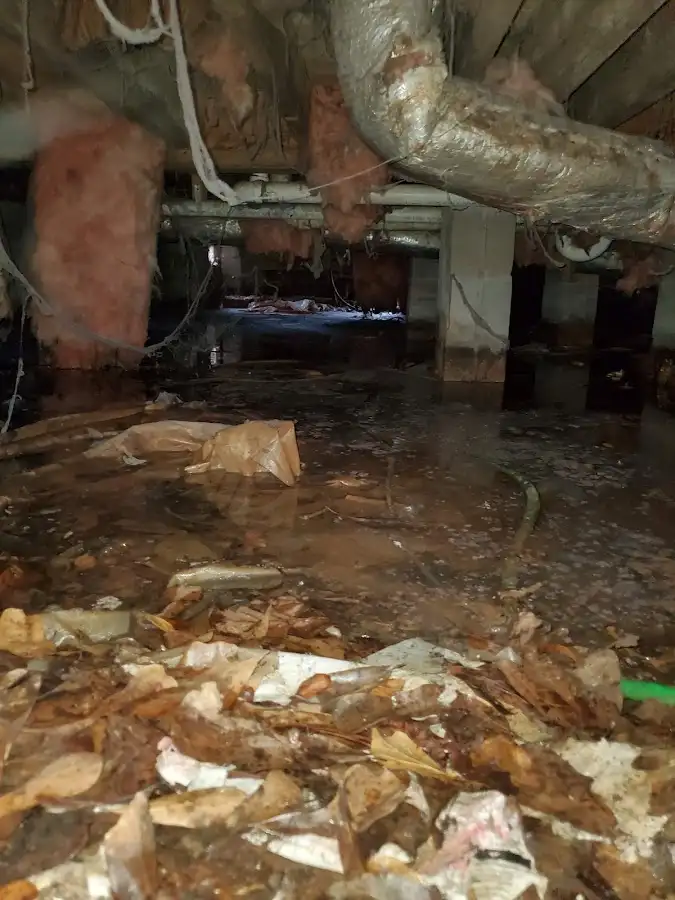 Crawl space flood assessment for Leak Detection & Repair in Justice